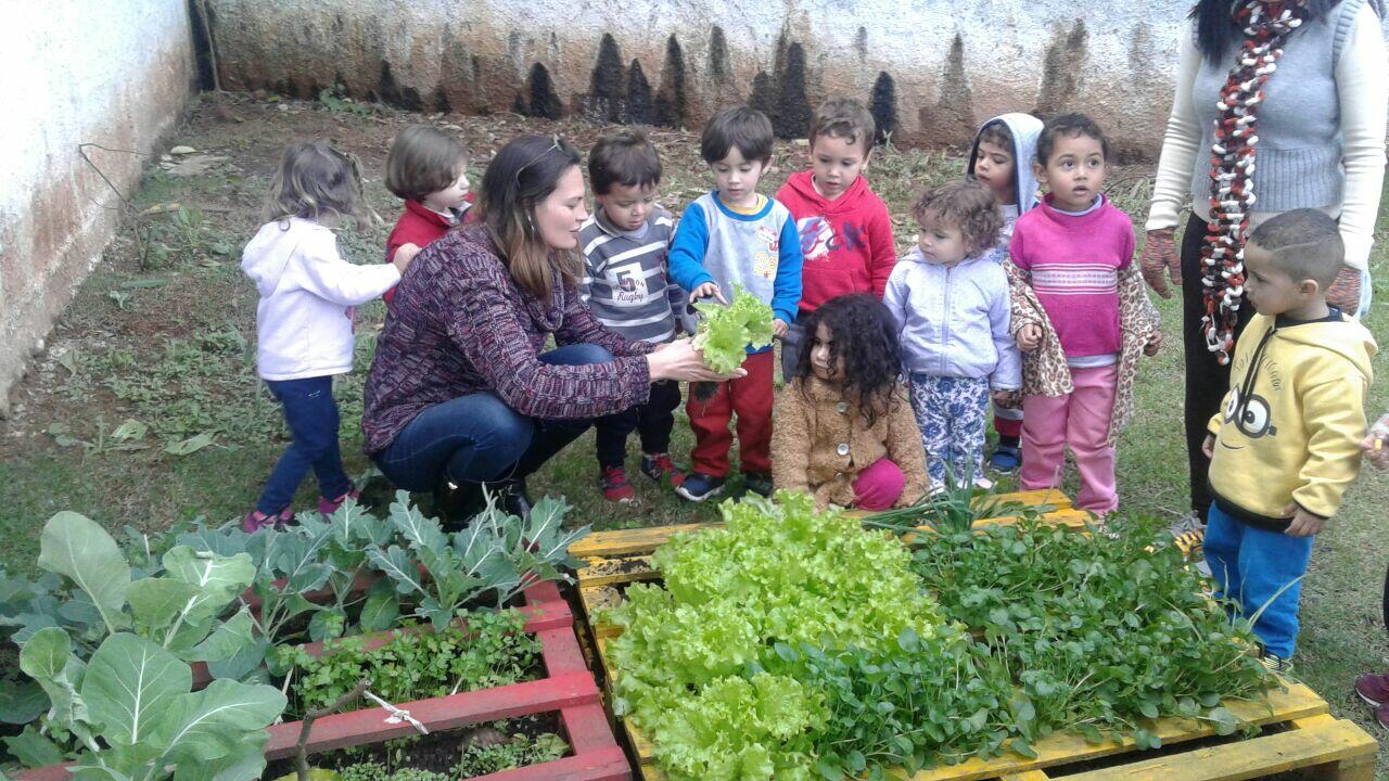 Brincando com os alimentos