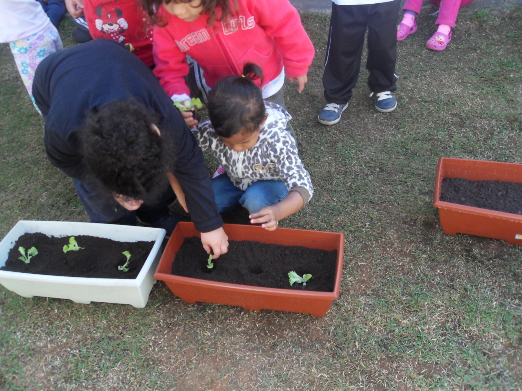 Divertindo, plantando e aprendendo com a natureza