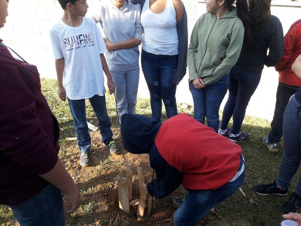 Plantando Sonhos