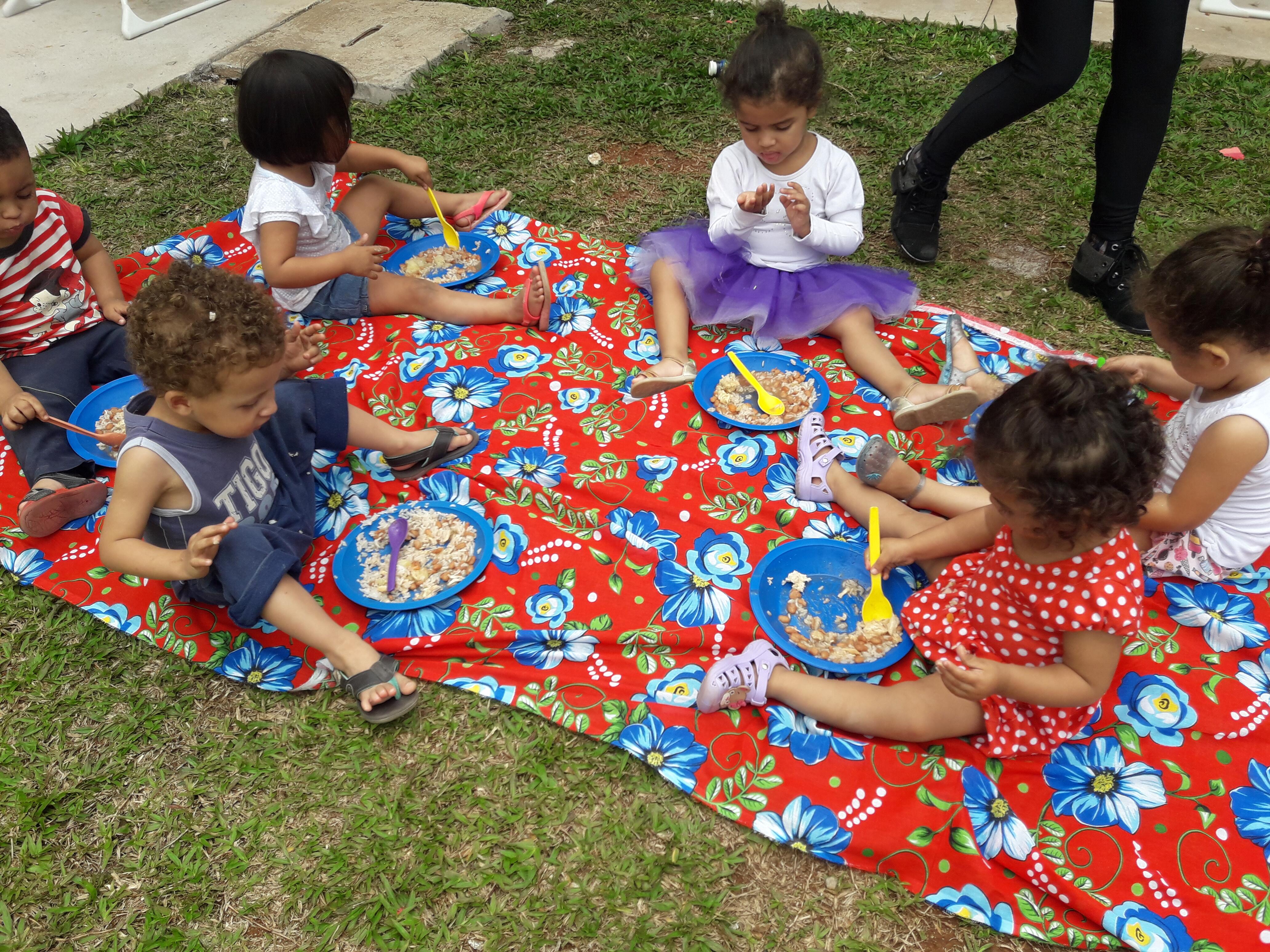 Piquenique no jardim