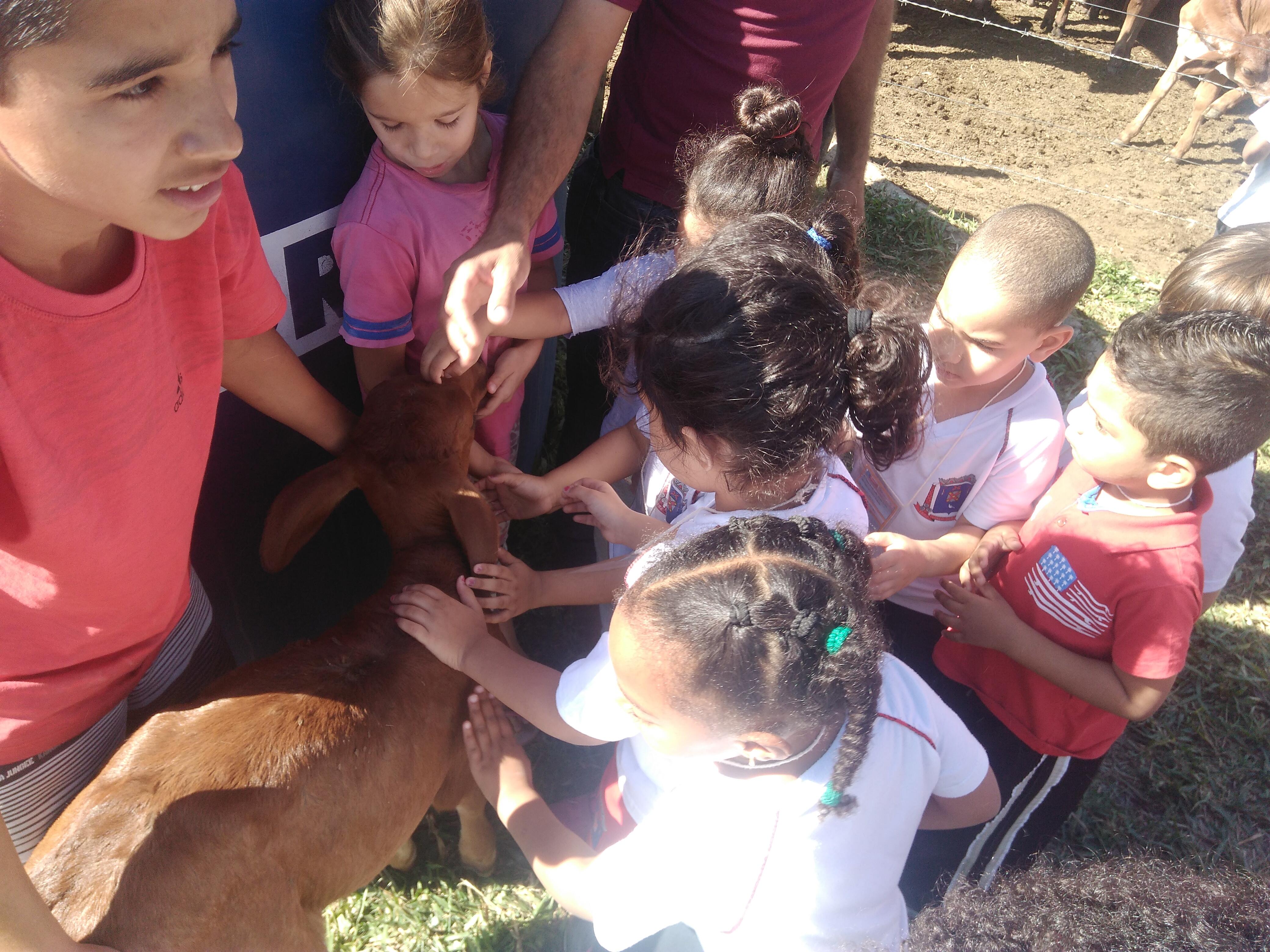 Alimentação escolar: Muito além do prato