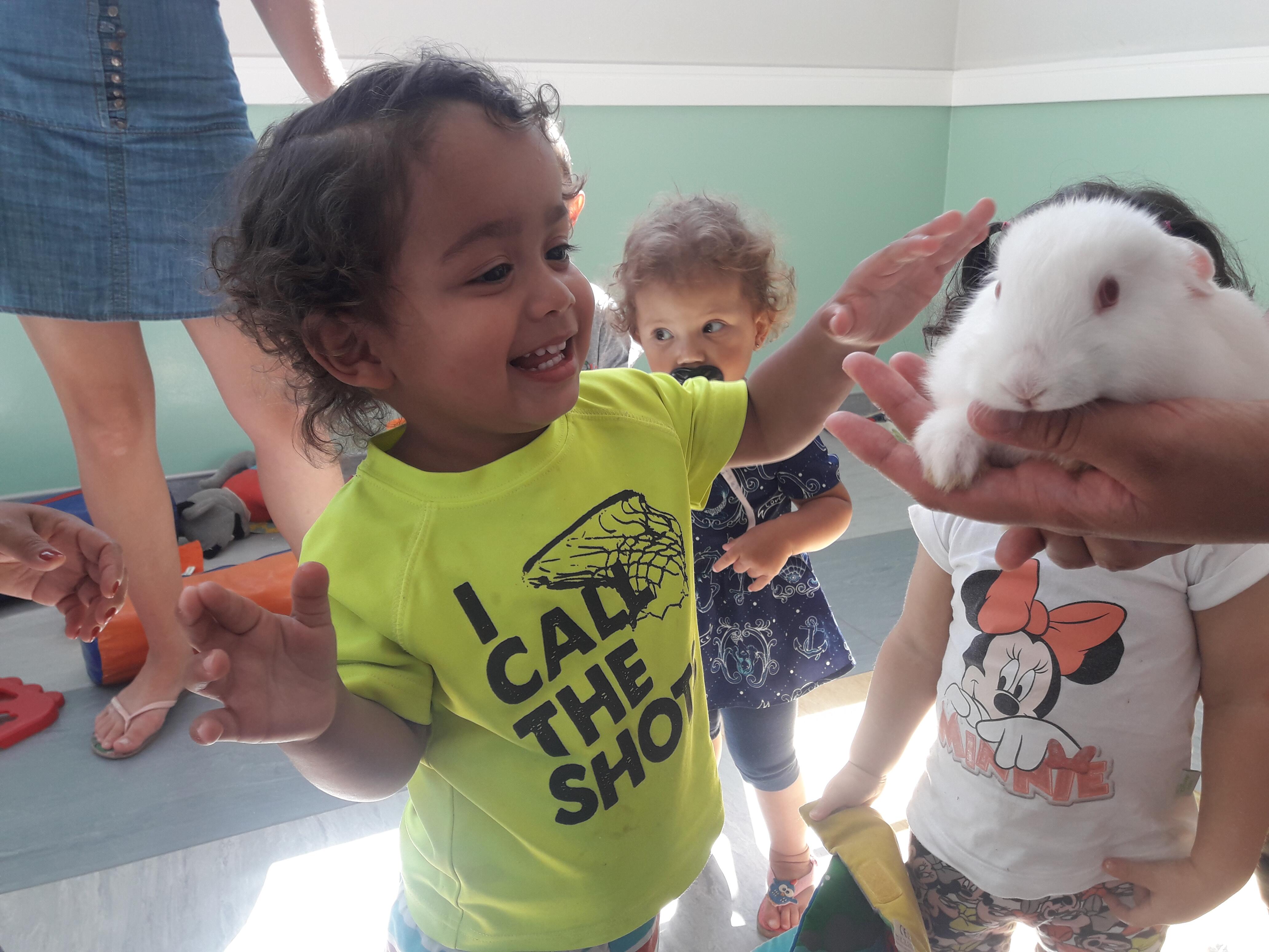 Criança e animais: uma relação de carinho