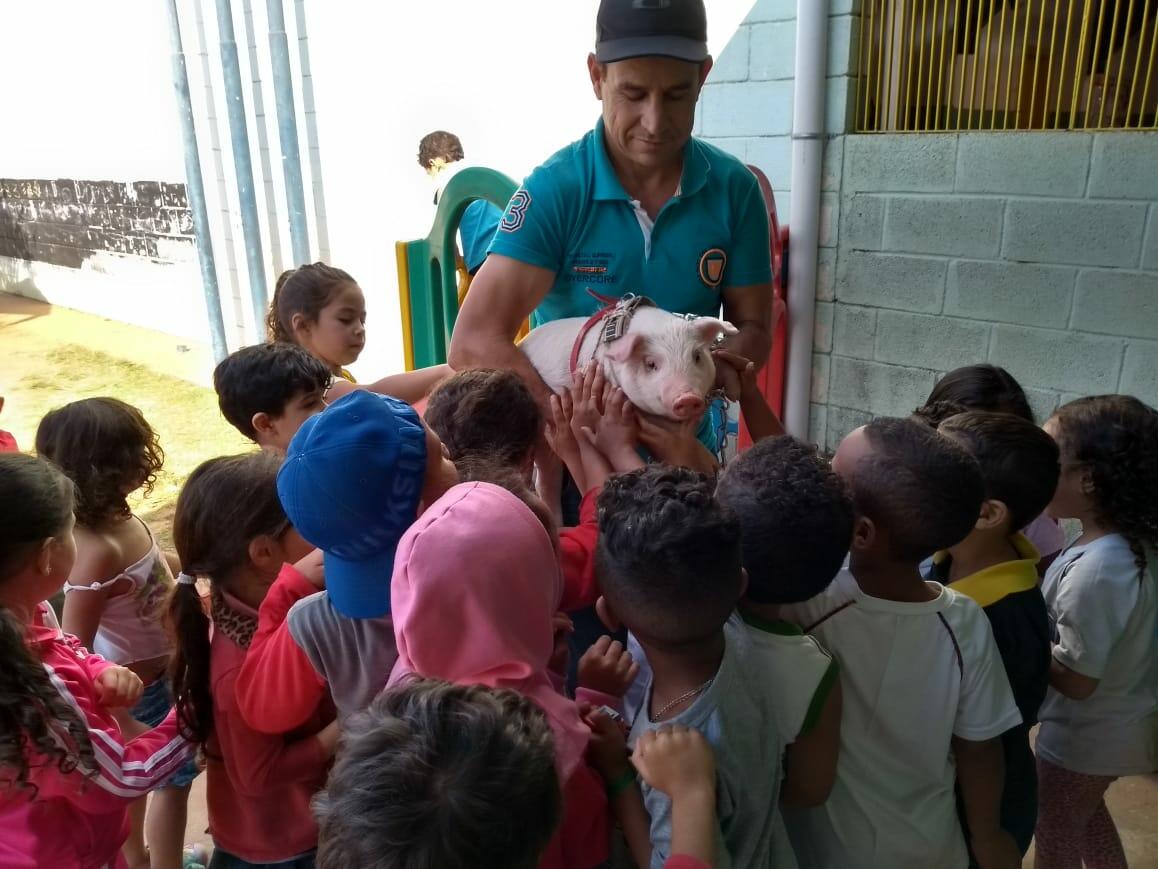 Aprender é explorar, conhecer!