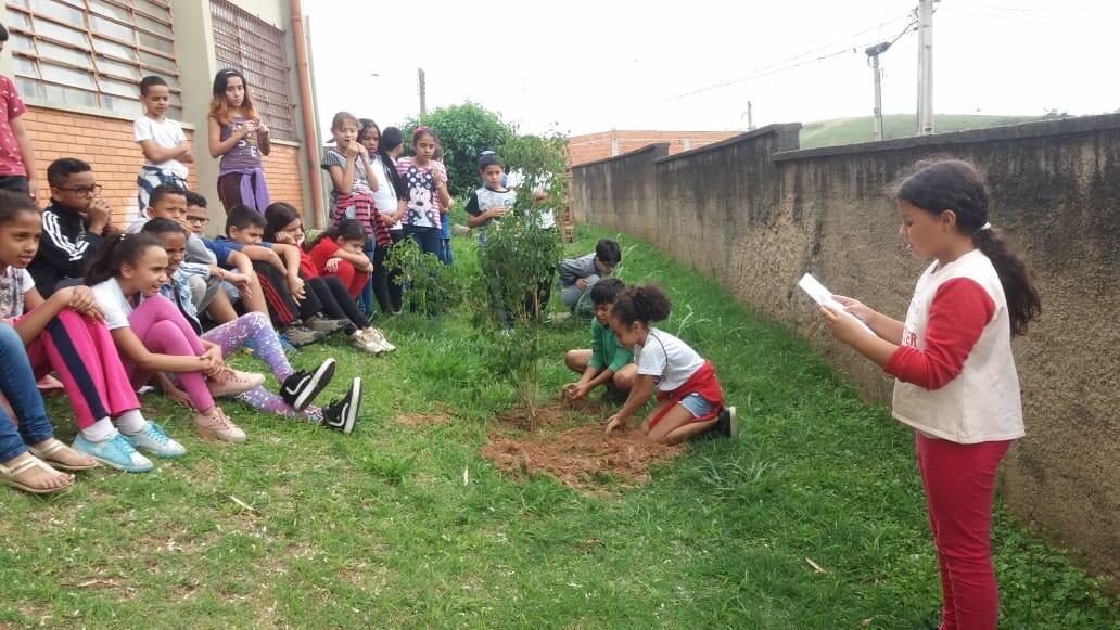 Flores de Pitangueira. Plantando árvores com frutos de educação!