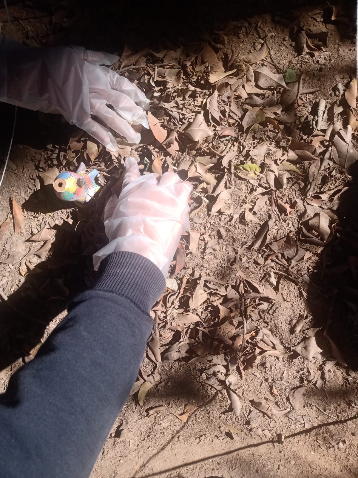 Aprendendo arqueologia com a mão na massa… ops, na terra!