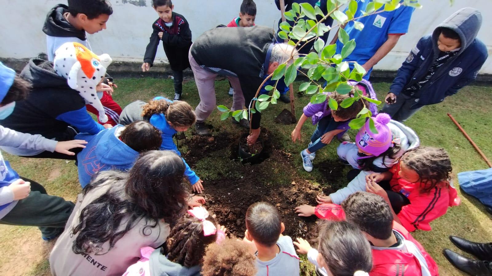 Porque plantar árvores é muito importante para o futuro!🌳💚