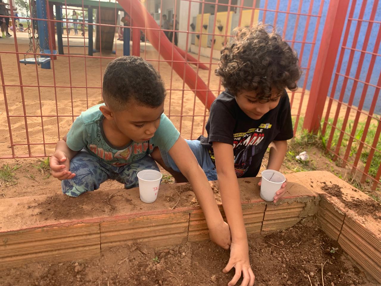 Plantamos o girassol, ele vai crescer e ficar lindo… como um pôr do sol 🌻☀️🥰🌿🌱