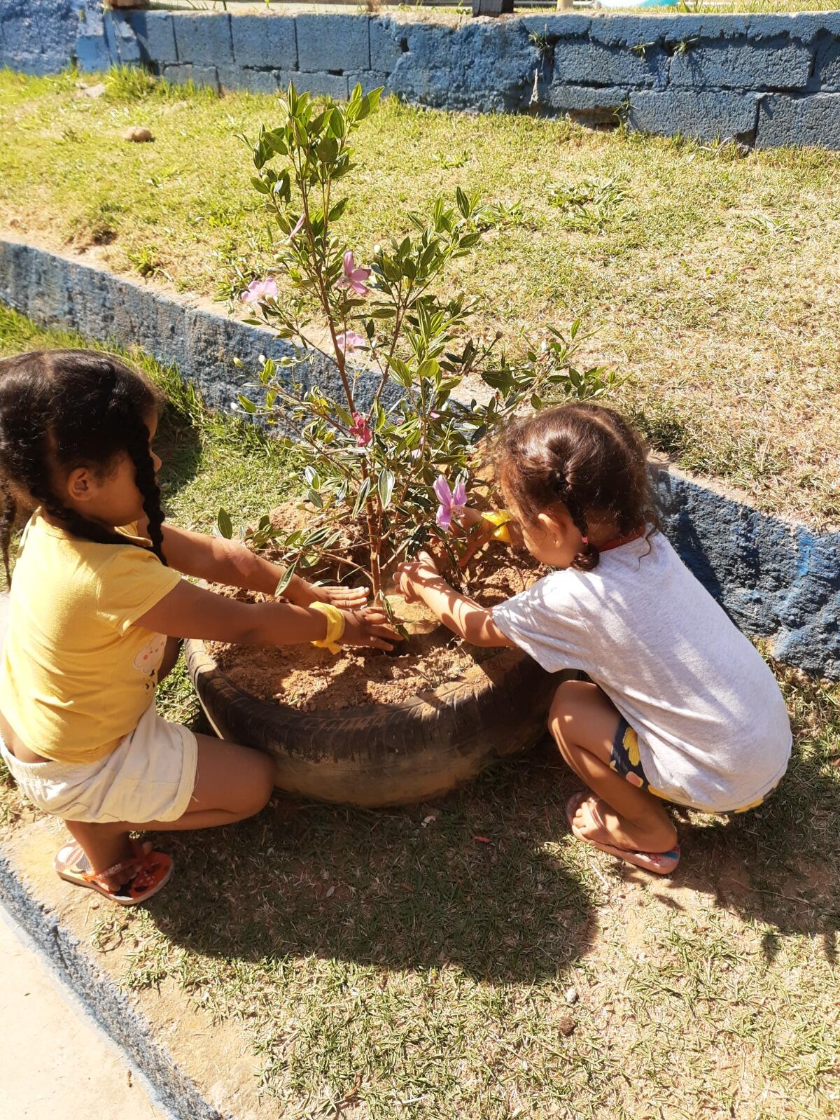 Descobertas da natureza que criam conexões… 🌸💛🌴🦋🤩👶🏼